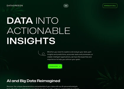 DataGreen website design